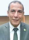 Prof. Dr. Mohamed El-Shanshory